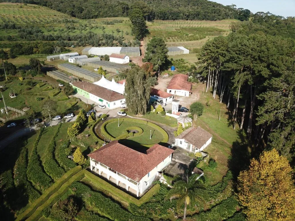 DJI 0001