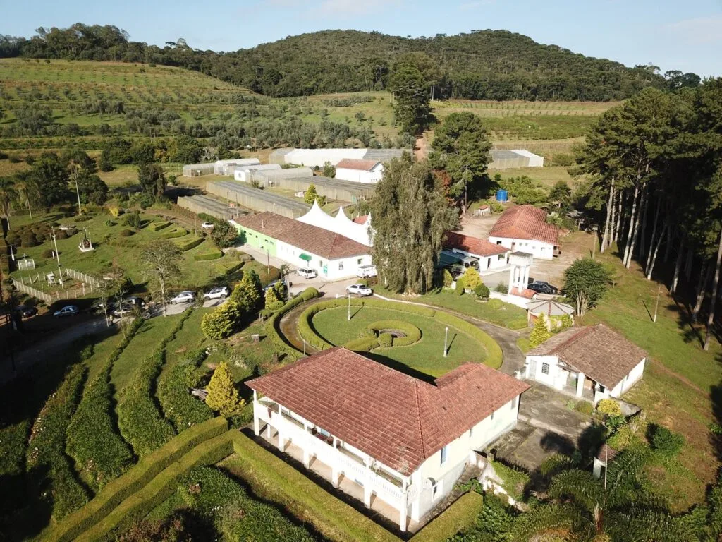 DJI 0005
