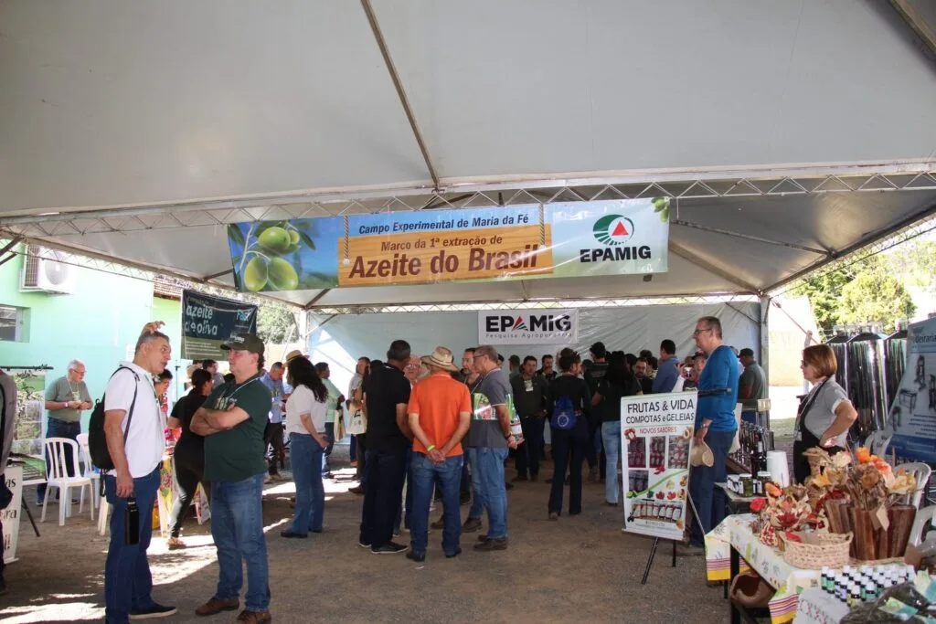 Azeitech 2026 já tem data definida 6 Azeitech 2025 Foto Erasmo Pereira Ascom EPAMIG scaled 1