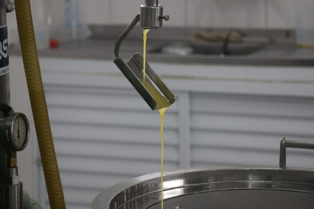 Extracao de azeite na EPAMIG foto Erasmo Pereira Ascom EPAMIG scaled 1