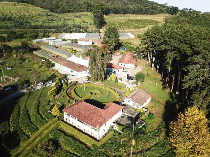 campo experimental maria da fe scaled e1772215993955