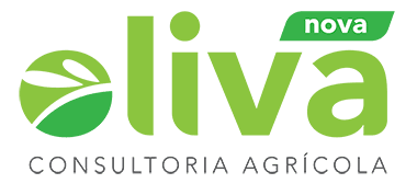 5 Logo nova oliva 07