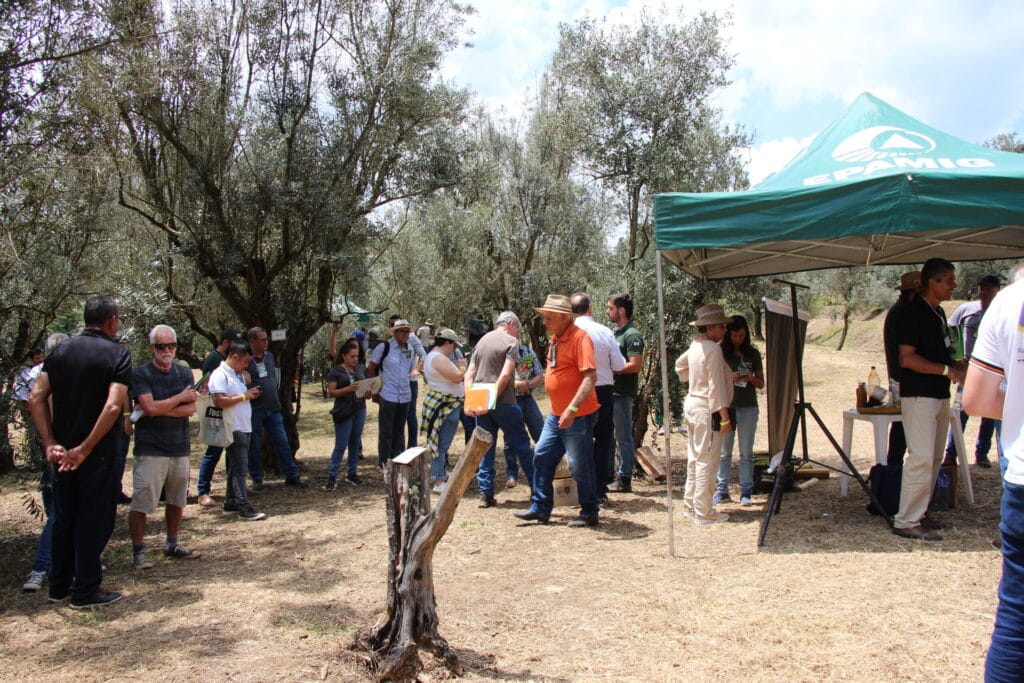 EPAMIG realiza Azeitech 2026 nesta sexta-feira (10/4) 1 Azeitech 2025 foto Ascom EPAMIG