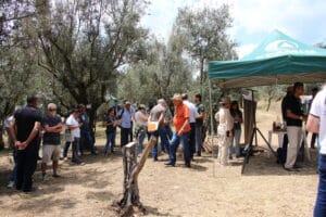 Azeitech 2025 foto Ascom EPAMIG