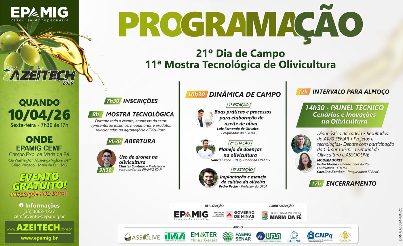 Programação Azeitech 2026